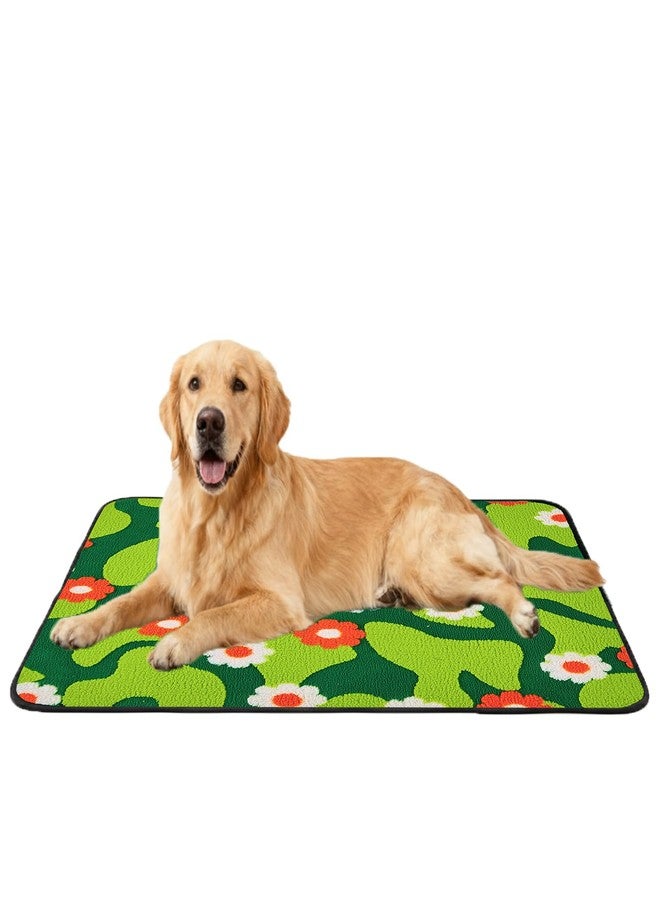 Qeils Reusable Puppy Pads for Small Dogs, Washable Pee Pads with Non-Slip , Absorbent Leakproof Mat for Crates, Playpens, Pet Beds & Whelping, Indoor Potty Training Grass Green, 31"x36", 2 Pack - Image 1